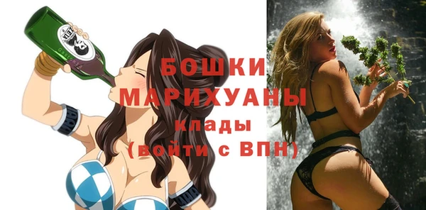 дмт Козельск